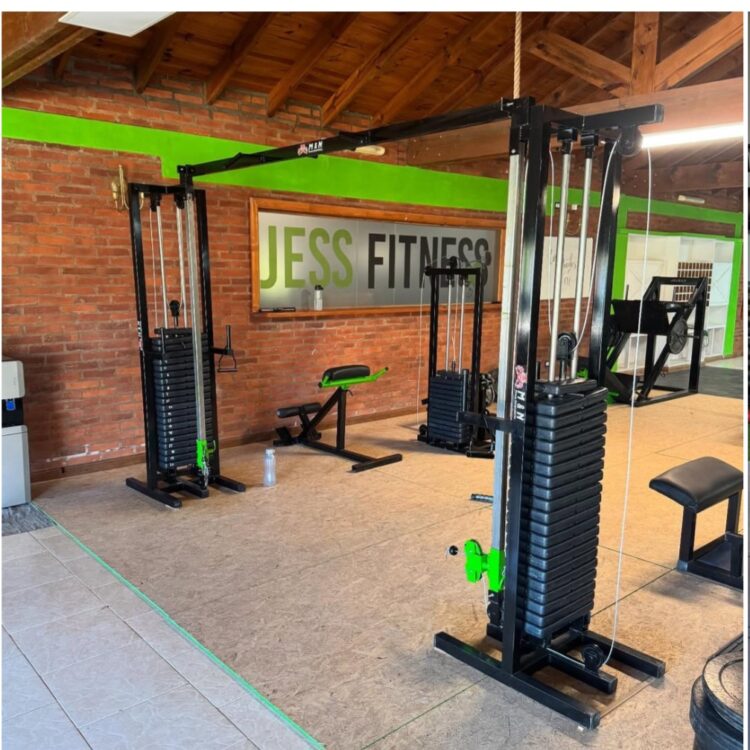 POLEAS ENFRENTADAS CON LINGOTERA